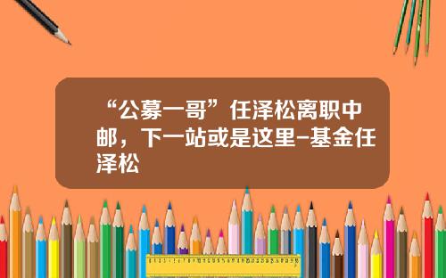 “公募一哥”任泽松离职中邮，下一站或是这里-基金任泽松