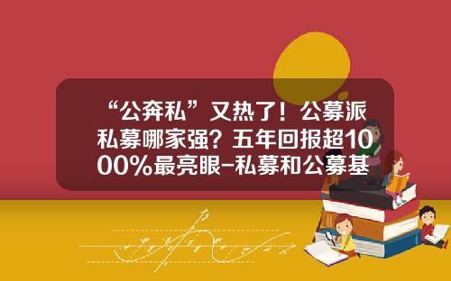 “公奔私”又热了！公募派私募哪家强？五年回报超1000%最亮眼-私募和公募基金的区别