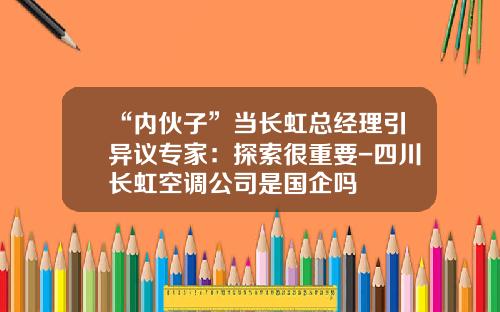 “内伙子”当长虹总经理引异议专家：探索很重要-四川长虹空调公司是国企吗
