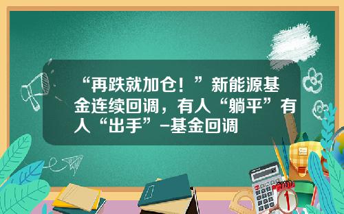“再跌就加仓！”新能源基金连续回调，有人“躺平”有人“出手”-基金回调