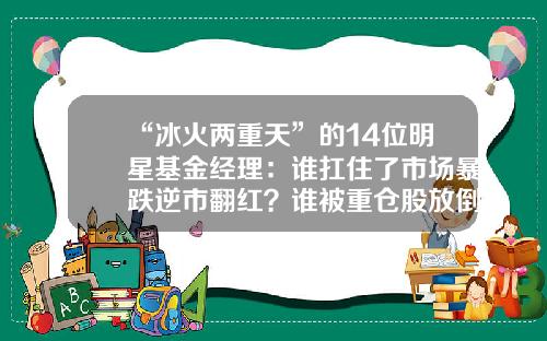 “冰火两重天”的14位明星基金经理：谁扛住了市场暴跌逆市翻红？谁被重仓股放倒？-什么基金的名字