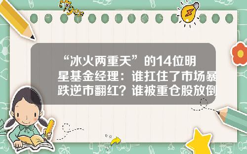 “冰火两重天”的14位明星基金经理：谁扛住了市场暴跌逆市翻红？谁被重仓股放倒？-基金公司名字