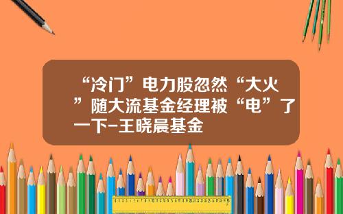 “冷门”电力股忽然“大火”随大流基金经理被“电”了一下-王晓晨基金