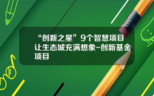 “创新之星”9个智慧项目让生态城充满想象-创新基金项目