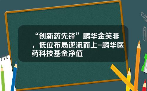 “创新药先锋”鹏华金笑非，低位布局逆流而上-鹏华医药科技基金净值