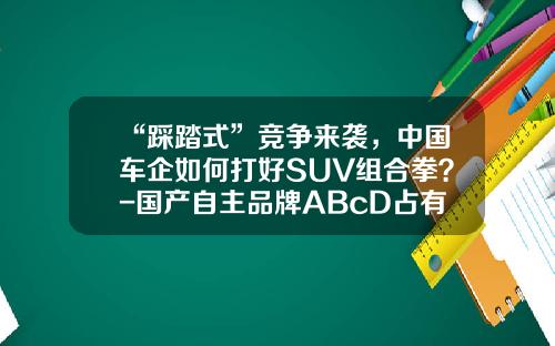 “踩踏式”竞争来袭，中国车企如何打好SUV组合拳？-国产自主品牌ABcD占有多少市场