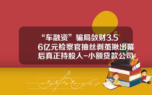 “车融资”骗局敛财3.56亿元检察官抽丝剥茧揪出幕后真正持股人-小额贷款公司回购责任