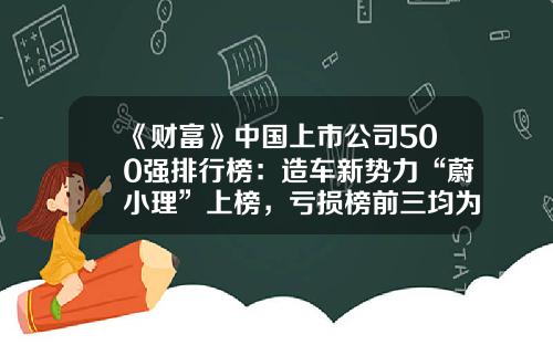 《财富》中国上市公司500强排行榜：造车新势力“蔚小理”上榜，亏损榜前三均为航空公司-上市公司500强【新闻】