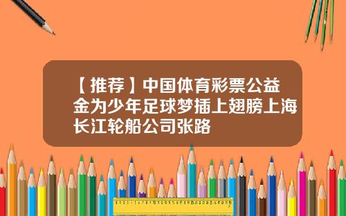 【推荐】中国体育彩票公益金为少年足球梦插上翅膀上海长江轮船公司张路