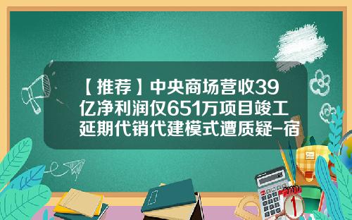 【推荐】中央商场营收39亿净利润仅651万项目竣工延期代销代建模式遭质疑-宿迁中央商场商业面积是多少