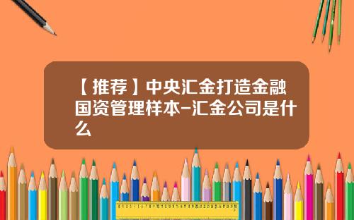 【推荐】中央汇金打造金融国资管理样本-汇金公司是什么