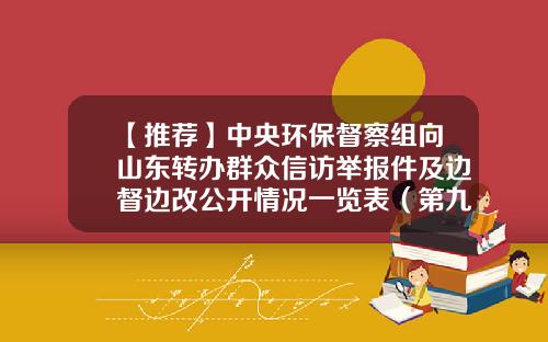 【推荐】中央环保督察组向山东转办群众信访举报件及边督边改公开情况一览表（第九批）-云南鑫龙制药有限公司