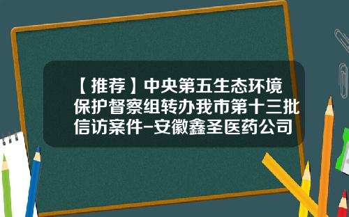 【推荐】中央第五生态环境保护督察组转办我市第十三批信访案件-安徽鑫圣医药公司