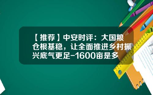 【推荐】中安时评：大国粮仓根基稳，让全面推进乡村振兴底气更足-1600亩是多少平方米