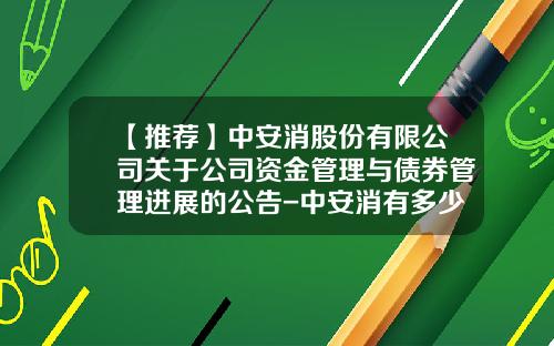 【推荐】中安消股份有限公司关于公司资金管理与债券管理进展的公告-中安消有多少人