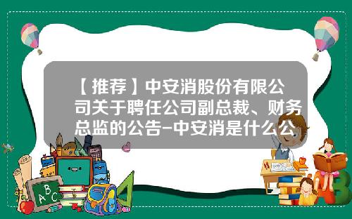 【推荐】中安消股份有限公司关于聘任公司副总裁、财务总监的公告-中安消是什么公司