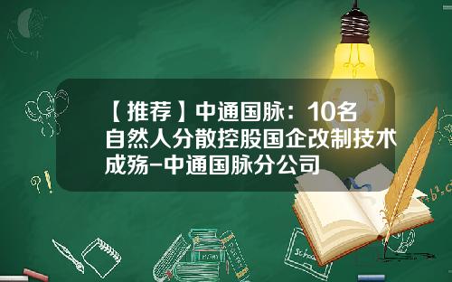 【推荐】中通国脉：10名自然人分散控股国企改制技术成殇-中通国脉分公司