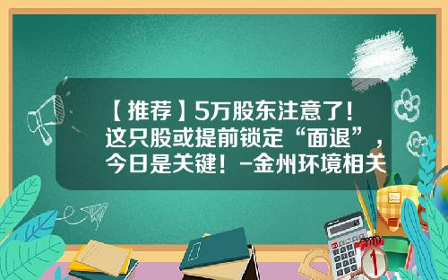 【推荐】5万股东注意了！这只股或提前锁定“面退”，今日是关键！-金州环境相关的上市公司
