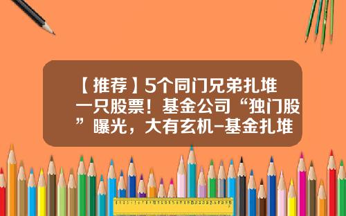 【推荐】5个同门兄弟扎堆一只股票！基金公司“独门股”曝光，大有玄机-基金扎堆股票
