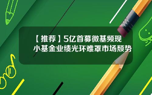 【推荐】5亿首募微基频现小基金业绩光环难罩市场颓势