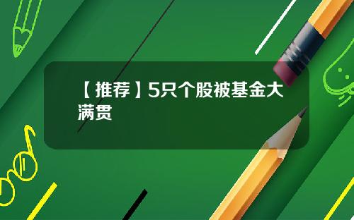 【推荐】5只个股被基金大满贯