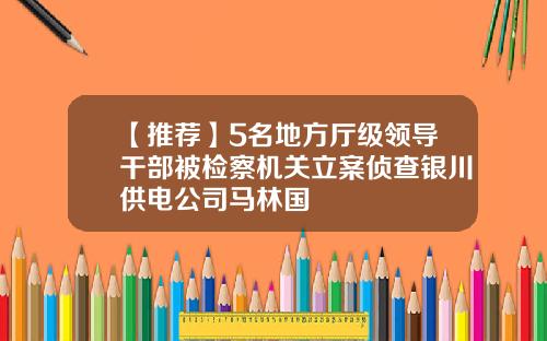 【推荐】5名地方厅级领导干部被检察机关立案侦查银川供电公司马林国