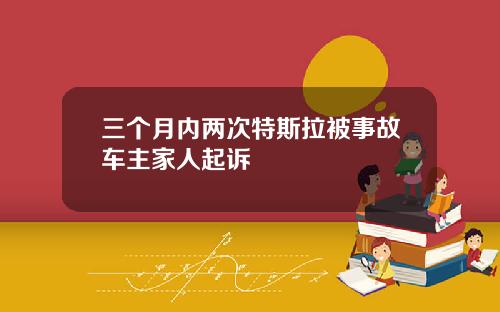 三个月内两次特斯拉被事故车主家人起诉