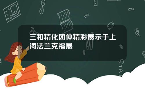 三和精化团体精彩展示于上海法兰克福展