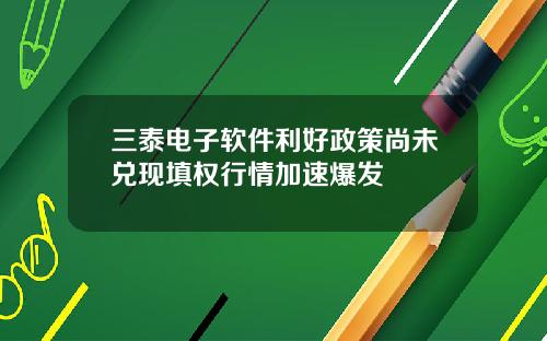 三泰电子软件利好政策尚未兑现填权行情加速爆发
