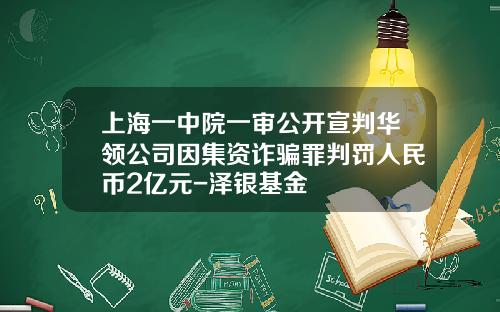 上海一中院一审公开宣判华领公司因集资诈骗罪判罚人民币2亿元-泽银基金