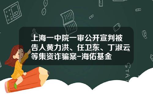 上海一中院一审公开宣判被告人黄力洪、任卫东、丁淑云等集资诈骗案-海佑基金