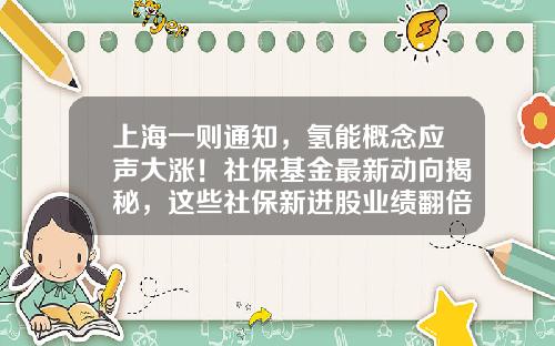 上海一则通知，氢能概念应声大涨！社保基金最新动向揭秘，这些社保新进股业绩翻倍（附股）-氢能基金