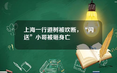 上海一行道树被吹断，“闪送”小哥被砸身亡
