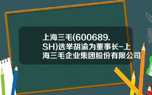 上海三毛(600689.SH)选举胡渝为董事长-上海三毛企业集团股份有限公司