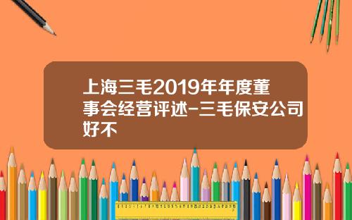 上海三毛2019年年度董事会经营评述-三毛保安公司好不
