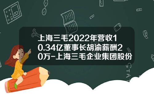 上海三毛2022年营收10.34亿董事长胡渝薪酬20万-上海三毛企业集团股份有限公司