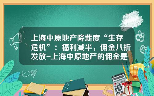 上海中原地产降薪度“生存危机”：福利减半，佣金八折发放-上海中原地产的佣金是多少