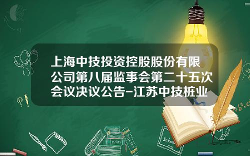 上海中技投资控股股份有限公司第八届监事会第二十五次会议决议公告-江苏中技桩业有限公司