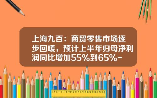 上海九百：商贸零售市场逐步回暖，预计上半年归母净利润同比增加55%到65%-上海九百历史最高价是多少