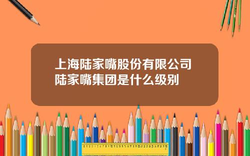 上海陆家嘴股份有限公司 陆家嘴集团是什么级别