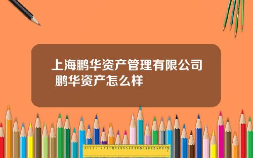上海鹏华资产管理有限公司 鹏华资产怎么样