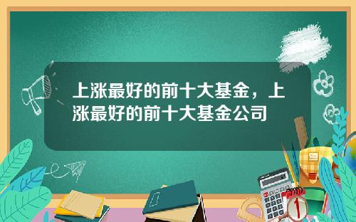 上涨最好的前十大基金，上涨最好的前十大基金公司