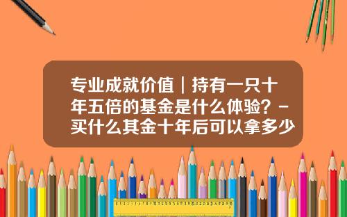 专业成就价值︱持有一只十年五倍的基金是什么体验？-买什么其金十年后可以拿多少钱