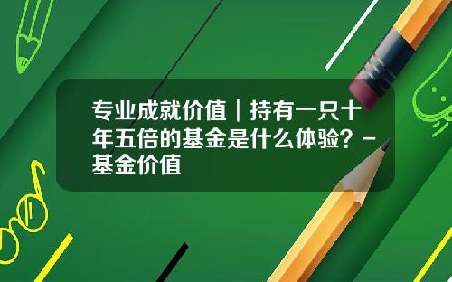 专业成就价值︱持有一只十年五倍的基金是什么体验？-基金价值