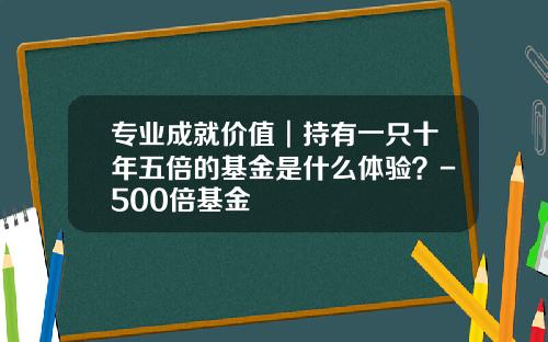 专业成就价值︱持有一只十年五倍的基金是什么体验？-500倍基金