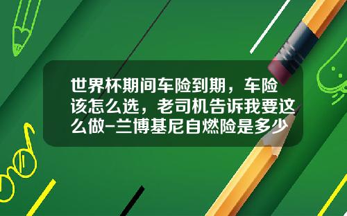 世界杯期间车险到期，车险该怎么选，老司机告诉我要这么做-兰博基尼自燃险是多少【新闻】