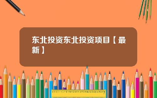 东北投资东北投资项目【最新】