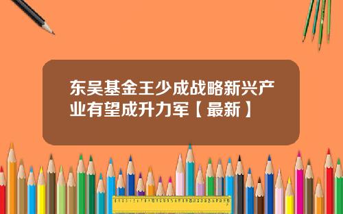 东吴基金王少成战略新兴产业有望成升力军【最新】