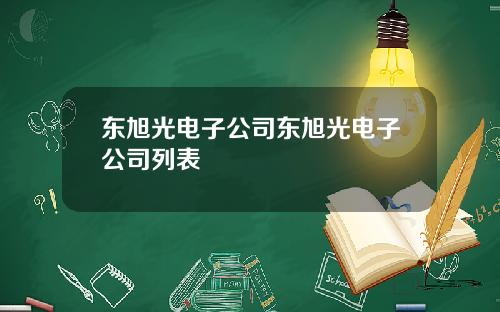 东旭光电子公司东旭光电子公司列表