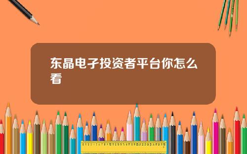 东晶电孑投资者平台你怎么看